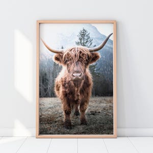 Highland Kuh Poster, schottische Tierfotografie, Schottland Kuh Poster, druckbare Wandkunst