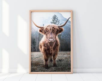 Highland Kuh Poster, schottische Tierfotografie, Schottland Kuh Poster, druckbare Wandkunst