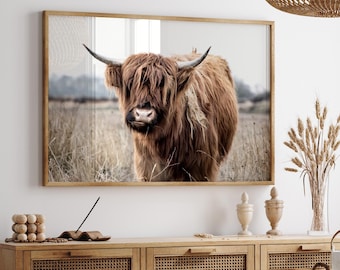 Highland Kuh Druck Fotografie, digitale Datei, Highland Kuh Poster, druckbare Wandkunst