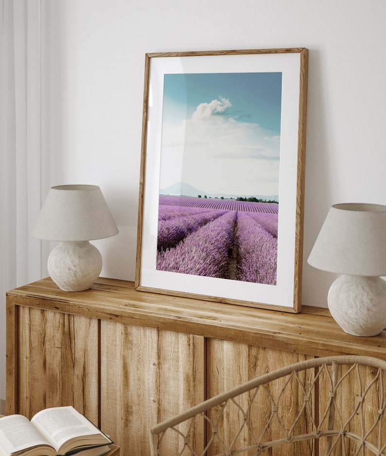 May include: A framed photograph of a lavender field with rows of purple flowers stretching out to a distant mountain range under a blue sky with a single white cloud.