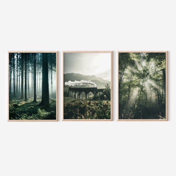 Set mit 3 Kunstdrucken einer dunkelgrünen Waldlandschaft, Naturfotografie des Genfinnan-Viadukts, Digitaler Download
