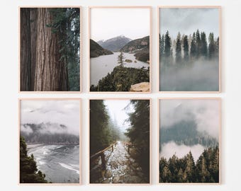 Landscape Wall Art, Forest Set of 6 prints, Nature Gallery Wall Prints, Nordic Printable Wall Art