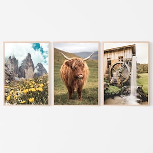 Highland Cow Nature Set of 3 prints, Farm wildflowers landscape photography, Green Room Photo Printable Wall Art