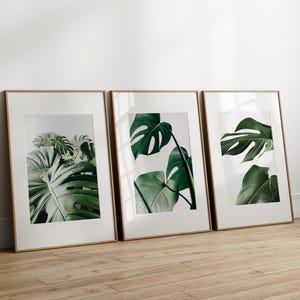 Green wall art, monstera print set of 3, dark green digital prints, leaves photo posters, printable wall art