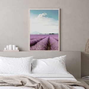 May include: A framed photograph of a lavender field with rows of purple flowers stretching out to the horizon. The sky is blue with a single white cloud.