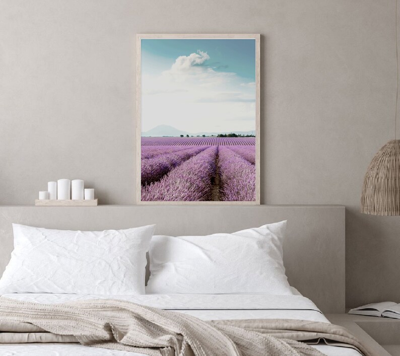 May include: A framed photograph of a lavender field with rows of purple flowers stretching out to the horizon. The sky is blue with a single white cloud.