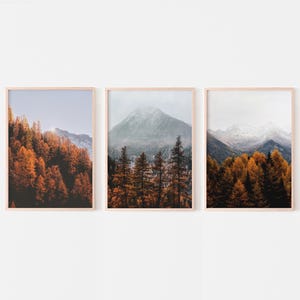 Herbst Wand Kunst, Landschaft 3er Set Druck, Herbst Wald Druck, Italien Natur Fotografie, Herbst Bilder, sofortiger digitaler Download