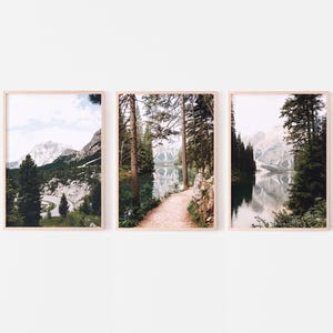 Naturdrucke, Galerie-Set von 3, Natur-Digitaldrucke, Waldfotografie Set, dunkelgrüne Landschaftskunst, druckbare Wandkunst