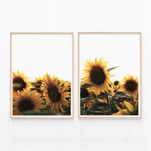Sunflower prints set of 2, sunflowers photography, yellow flowers field posters, printable wall art