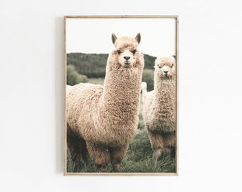Stampa digitale di lama, arte murale di lama, fotografia di alpaca, poster di animali boho, arte murale stampabile