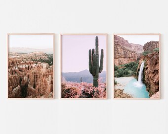 Juego de 3 láminas con motivos del desierto, fotografía de cactus de Arizona, pósteres de naturaleza estilo boho, arte mural imprimible.