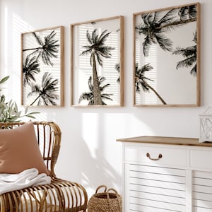 May include: Three framed art prints with monochrome photographs of palm trees. The prints are in light brown wooden frames. The artwork is displayed on a white wall above a wicker chair and a white cabinet. The room has a coastal theme.