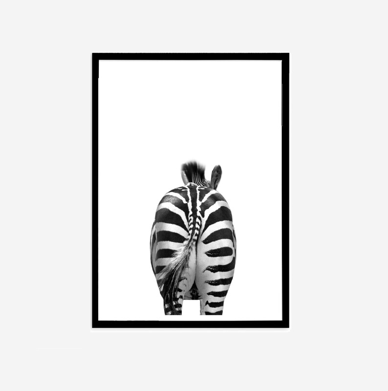 May include: Black and white framed print featuring the rear view of a zebra. The zebra's distinctive striped pattern is prominently displayed against a white background. The artwork is framed in a black border.