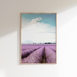 May include: A framed photograph of a field of lavender flowers in rows, with a mountain in the distance and a blue sky with a white cloud.