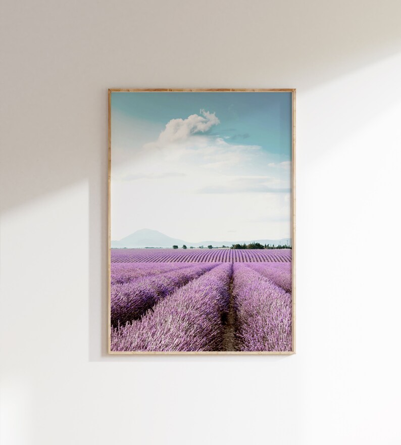 May include: A framed photograph of a field of lavender flowers in rows, with a mountain in the distance and a blue sky with a white cloud.