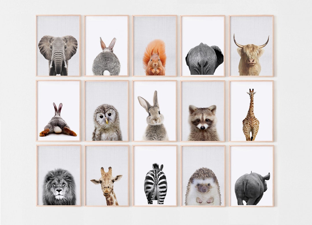 Baby Animals Prints, Woodland Nursery Decor, Safari Animal Gallery Wall ...