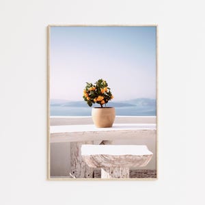 Mediterranean orange tree print, summer citrus photography, clementine digital poster, summer fruit art, printable wall art