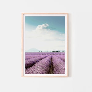 May include: A framed photograph of a lavender field with rows of purple flowers stretching out to a distant mountain range under a blue sky with a single white cloud.