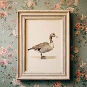 Vintage duck print, duck painting, vintage farmhouse bird artwork, digital download, printable wall art