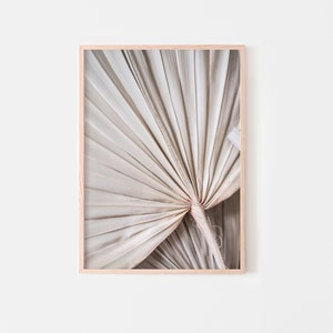 May include: A close-up of a dried palm leaf, featuring a light brown colour and a fan-like shape. The leaf is folded in on itself, creating a unique texture.