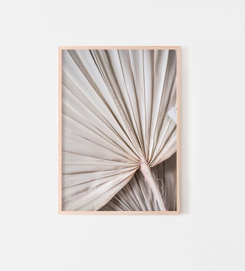 May include: A close-up of a dried palm leaf, featuring a light brown colour and a fan-like shape. The leaf is folded in on itself, creating a unique texture.
