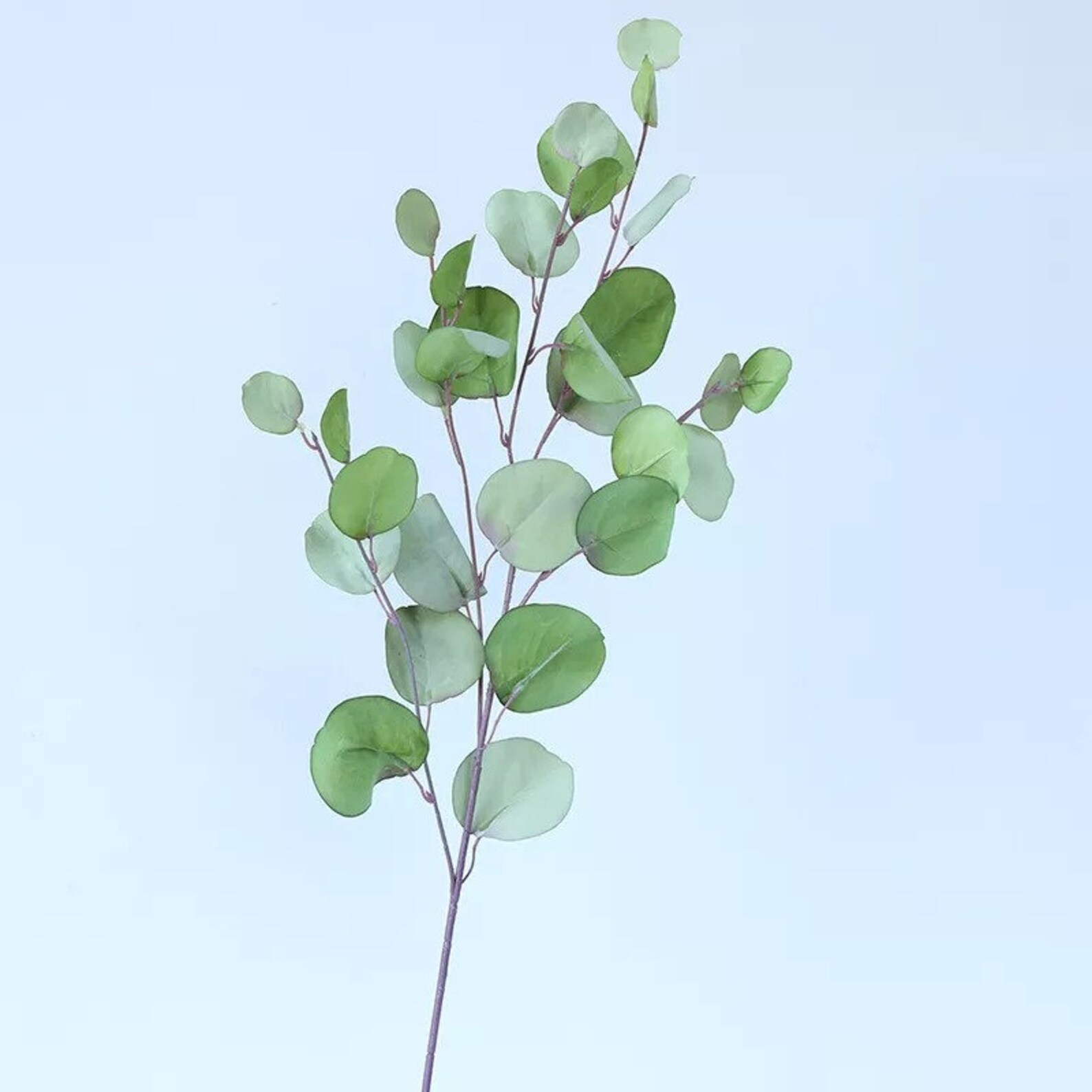 Artificial Eucalyptus Silk Leaves High Quality Long Branch Etsy