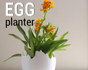 Egg Planter |  3D Printed Modern Design for Aesthetic Planting