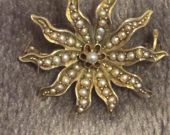 Victorian 10K Seed Pearl Starburst Brooch or Pin