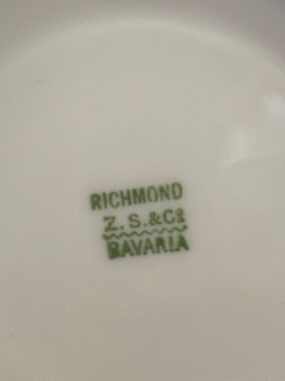 Vintage Gorgeous Richmond Z S & C Bavaria Coffee or Tea Cup