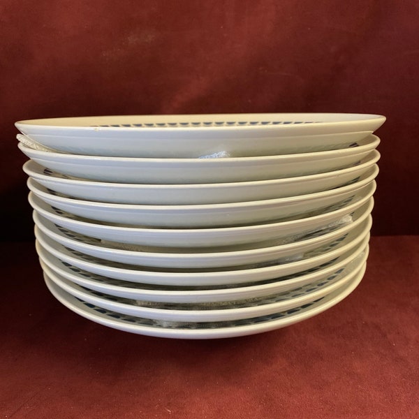 Vintage Rare Richard Ginori Fine China Set of 10 Rim Soup Bowls, 9" in diameter, 1-1/2" deep, Made in Italy, Blue and White Band Outer Edge