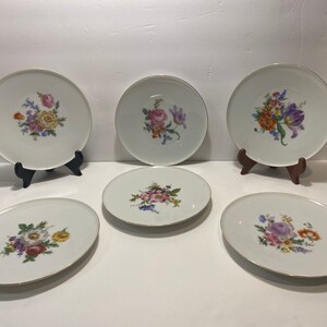 Vintage Set of 6 Oberkotzau Porcelain Plates Bavaria, Germany, with Gold Trim, all different Floral Patterns, 7-3/4&quot; in diameter each