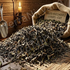 Dried Patchouli Herb Leaves for Incense Blends, Spell Work, Ritual Use & Apothecary, Herbal Tea, Potpourri