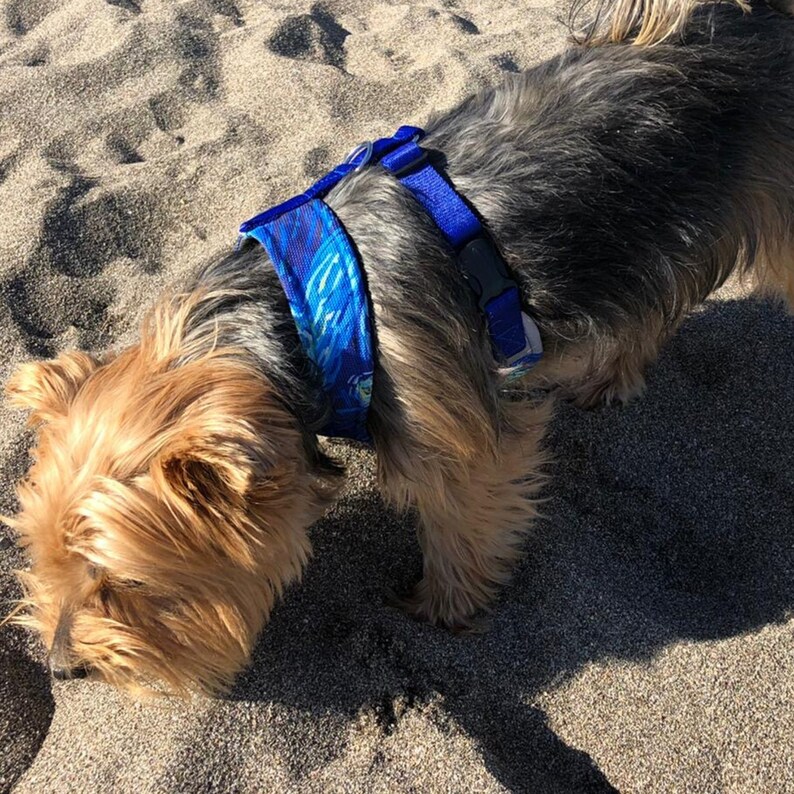 Dog Harness Puppy Harness Female Dog Harness XS Dog Etsy