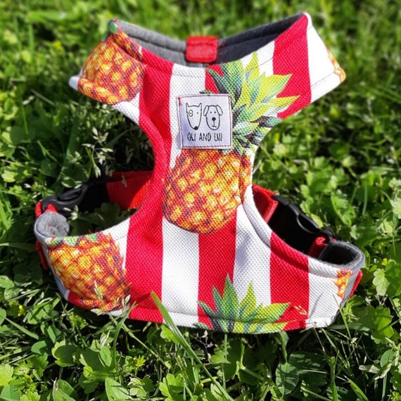 Dog Harness Puppy Harness Female Dog Harness XS Dog Etsy