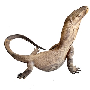 Komodo Dragon from Komodo Island Crafter - Various Size Handcrafted Komodo Statue - Komodo Dragon Carving