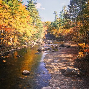 Autumn River