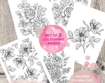 Roses Colouring Pages for Adults. Set of 5 Hand-Drawn Illustrations. Printable PDF. Instant download.