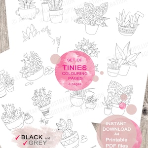 Schattige planten in potten. Kleine illustraties om in te kleuren voor volwassenen. Bladplanten, vetplanten. Afdrukbare pdf. Direct downloaden.