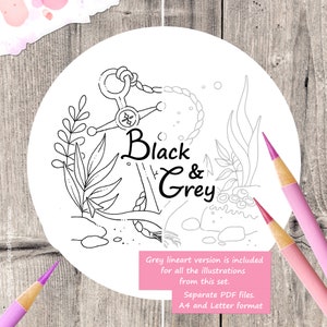 May include: Black and white line art illustration of an anchor with seaweed and rocks. The text "Black & Grey" is written in a stylised font.