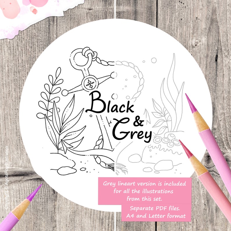 May include: Black and white line art illustration of an anchor with seaweed and rocks. The text "Black & Grey" is written in a stylised font.