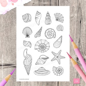 May include: A black and white printable colouring page featuring a variety of seashells and a starfish. The page is perfect for adults and children who enjoy colouring.
