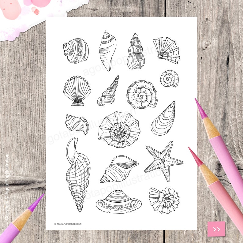 May include: A black and white printable colouring page featuring a variety of seashells and a starfish. The page is perfect for adults and children who enjoy colouring.