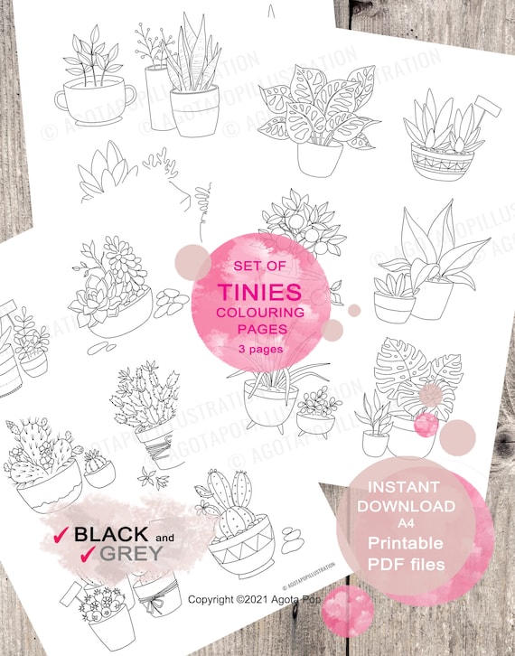 cute plants in pots printable coloring page set leafy etsy