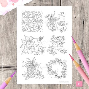 May include: A black and white colouring page with six different summer themed illustrations. The illustrations include a pineapple, a hummingbird, a glass of lemonade, a bowl of ice cream, a wreath of flowers, and a plate of lemons.