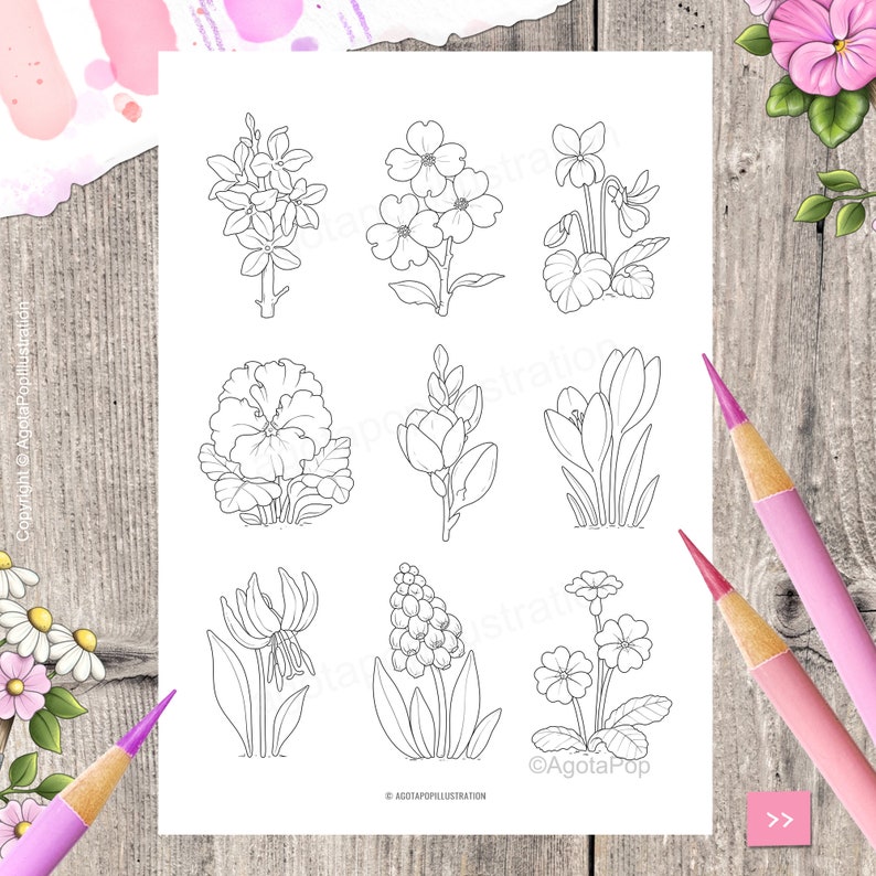 Tinies on Shelves MARCH Colouring Page Set for Adults. 5 pages. Printable PDF. Instant download. image 4