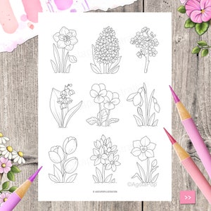 Tinies on Shelves MARCH Colouring Page Set for Adults. 5 pages. Printable PDF. Instant download. image 3