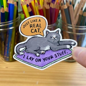 Real Cat Water Bottle Sticker Laptop Sticker Cat Lover Gift Die Cut Vinyl Illustrated Sticker