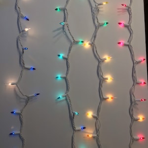 10’ Rainbow incandescent String Lights