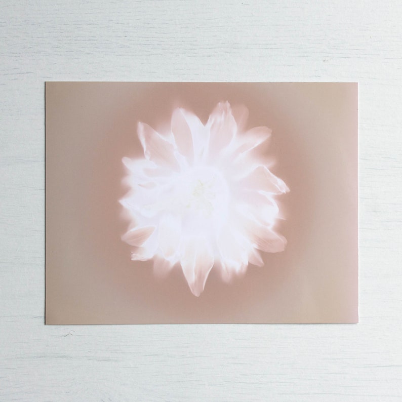 Handmade botanical wall art Flower lumen print One of kind