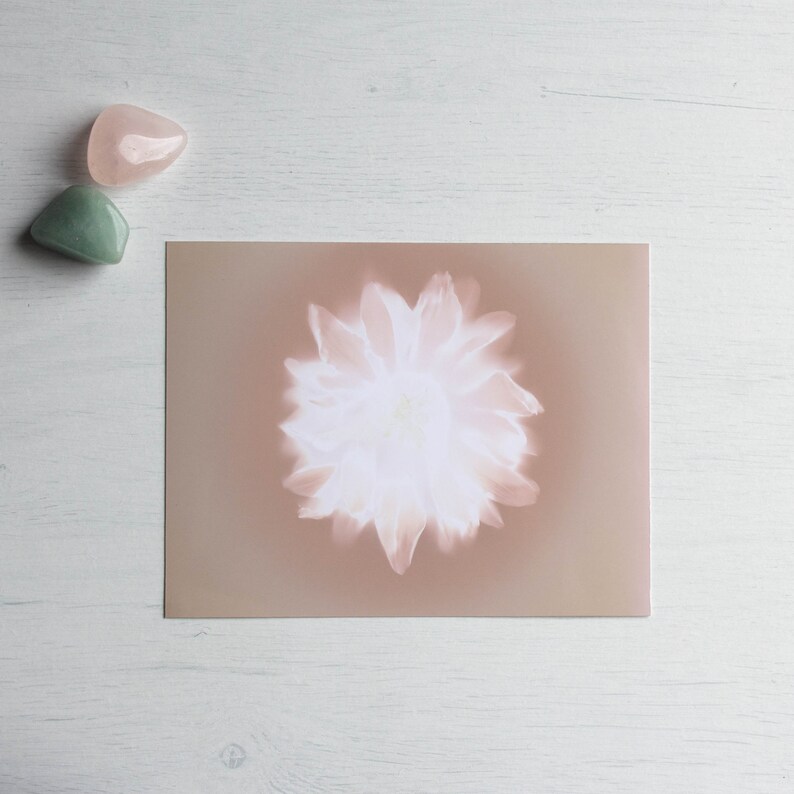 Handmade botanical wall art Flower lumen print One of kind